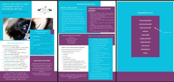Doodle Coat Care Guide for New (& existing!) Owners