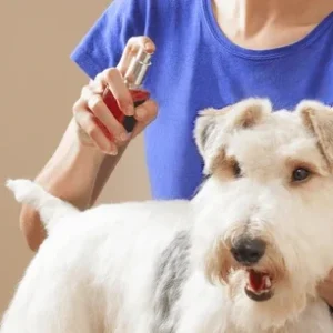 Pet cologne